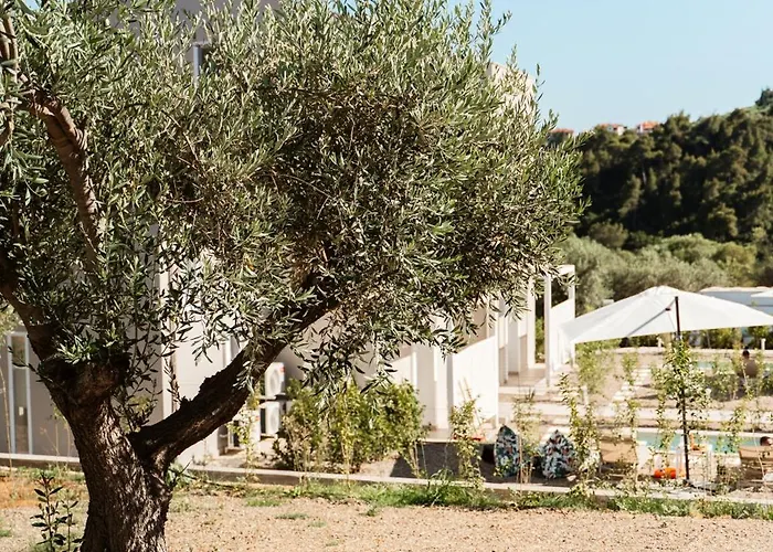 Kaela Pool Apartment Agios Nikolaos (Chalkidiki)